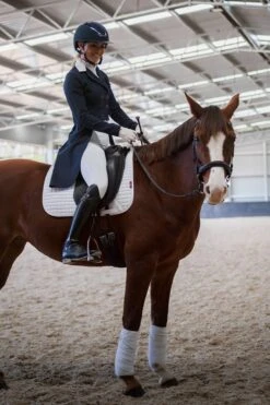 Hannah High Waisted Competition White Breech By QJ Riding Wear -King Breyer Shop 204102850 10158116065417344 5539632269890226281 n 09a5267d 6f9e 4bfb a40a 73582c9ff912