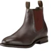 Boots Dress Ariat Stanbroke Chestnut Mens -King Breyer Shop Ariat Boots Stanbroke Chestnut Mens
