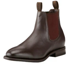 Boots Dress Ariat Stanbroke Chestnut Mens