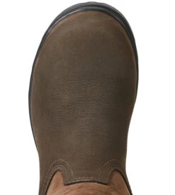 Boots Tall Ariat Eskdale H2o Java Ladies -King Breyer Shop Ariat Tall Boots Eskdale H2o Java Ladies 3 6999dce0 498f 4928 89b0 ca1ef7bf30bd