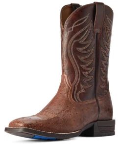 Western Boots Ariat Reckoning Dark Tabac Smooth Quill Ostrich & Nut Brown Mens