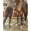 Black HLH Equestrian Apparel Comfort 1st Schooling Tights -King Breyer Shop hlh equestrian apparel comfort 1st schooling tights in black southern sport horses
