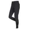 LeMieux Monsieur Men's Breeches -King Breyer Shop lemieux monsieur mens breeches southern sport horses