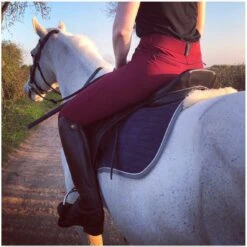 LeMieux Pace Breeches In [Colour/Size] -King Breyer Shop lemieux pace breeches in coloursize southern sport horses 7