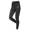 LeMieux Equestrian Leggings For Activewear -King Breyer Shop my lemieux activewear riding tights southern sport horses
